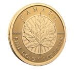 2026 $200 Our Purest Maple Leaf pure gold coin obverse
